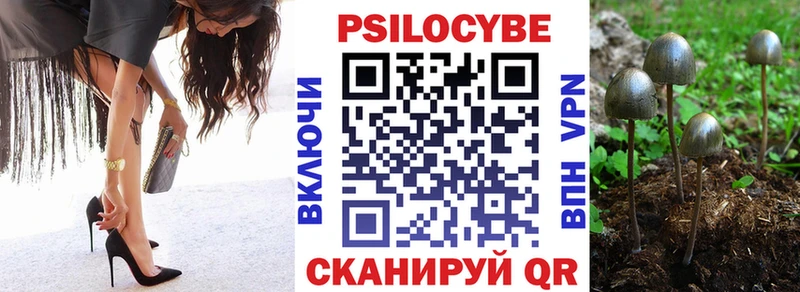 Купить закладки  Шагонар  Псилоцибиновые грибы прущие грибы 